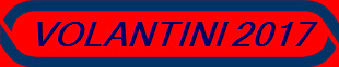 VOLANTINI 2014