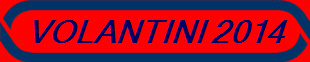 VOLANTINI 2014