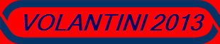 VOLANTINI 2013